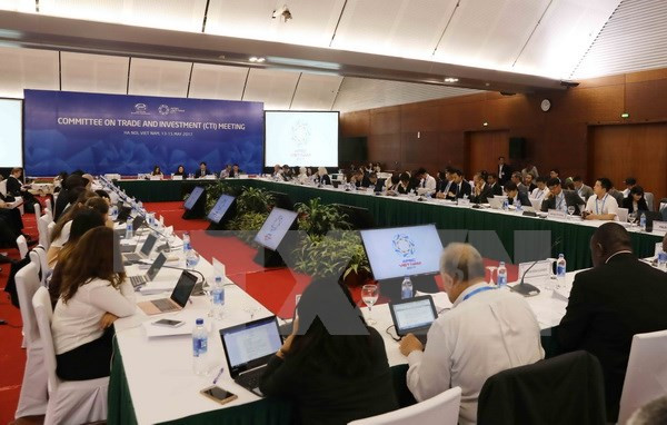 APEC 2017: delegados sugieren aprovechar oportunidades generadas por era digital ảnh 1