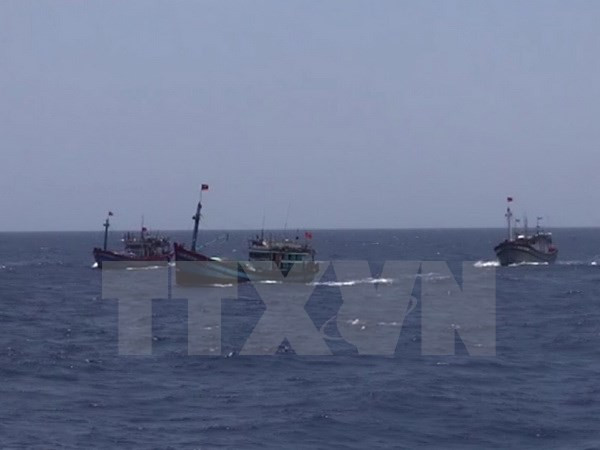 Prohibición de pesca de China en aguas de Vietnam no tiene valor ảnh 1 Prohibición de pesca de China en aguas de Vietnam no tiene valor ảnh 1