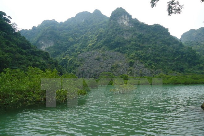 Reconocen a Bai Tu Long como parque patrimonial de la ASEAN ảnh 1