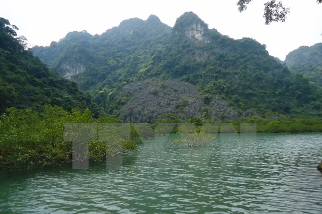 Reconocen a Bai Tu Long como parque patrimonial de la ASEAN ảnh 1 Reconocen a Bai Tu Long como parque patrimonial de la ASEAN ảnh 1