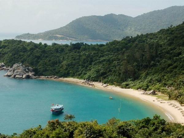 Exhibirán registros imperiales y artículos antiguos sobre cultura marina de Vietnam ảnh 1 Exhibirán registros imperiales y artículos antiguos sobre cultura marina de Vietnam ảnh 1