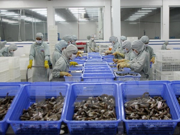 Vietnam invierte en mejorar la competitividad del sector acuícola ảnh 1 Vietnam invierte en mejorar la competitividad del sector acuícola ảnh 1