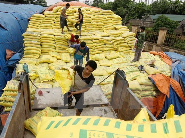 Vietnam estudiará la aplicación de medidas de protección sobre fertilizantes importados ảnh 1 Vietnam estudiará la aplicación de medidas de protección sobre fertilizantes importados ảnh 1