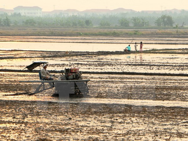 Vietnam y UNICEF por reducir efectos de desastres naturales en niños ảnh 1 Vietnam y UNICEF por reducir efectos de desastres naturales en niños ảnh 1