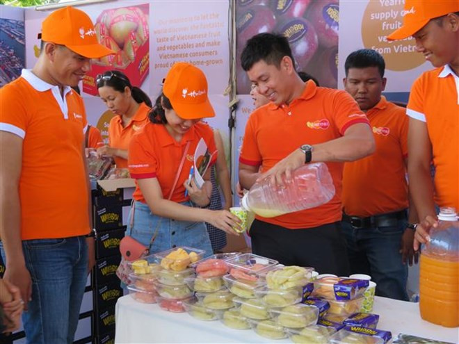 Inauguran Festival de cultura holandesa en ciudad vietnamita de Can Tho ảnh 1 Inauguran Festival de cultura holandesa en ciudad vietnamita de Can Tho ảnh 1