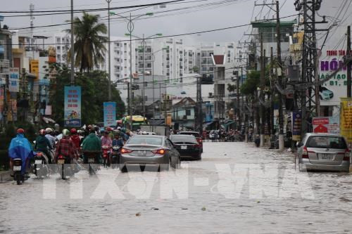 Al menos 12 muertos por lluvias torrenciales en provincia centrovietnamita de Khanh Hoa ảnh 1 Al menos 12 muertos por lluvias torrenciales en provincia centrovietnamita de Khanh Hoa ảnh 1