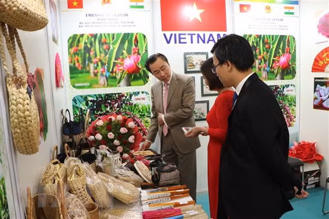 Vietnam participa en la mayor feria de consumo de la India ảnh 1