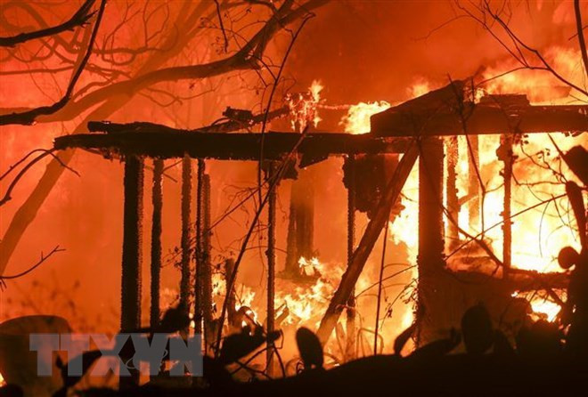 No se reportan víctimas vietnamitas en incendios forestales en California, informa Embajada ảnh 1 No se reportan víctimas vietnamitas en incendios forestales en California, informa Embajada ảnh 1