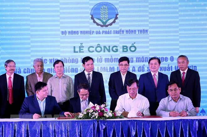 Vietnam desarrolla su propia vacuna contra fiebre aftosa ảnh 1 Vietnam desarrolla su propia vacuna contra fiebre aftosa ảnh 1