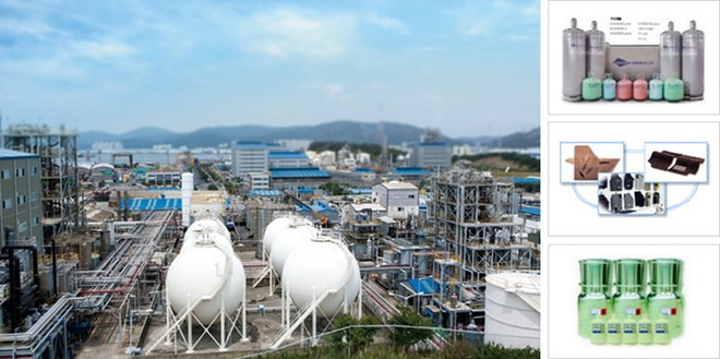 Embajada de Vietnam en Sudcorea refuerza medidas de protección de ciudadanos ảnh 1 Embajada de Vietnam en Sudcorea refuerza medidas de protección de ciudadanos ảnh 1