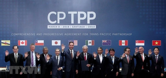 Destacan en Vietnam necesidad de diseñar plan de acción para participación efectiva en CPTPP ảnh 1 Destacan en Vietnam necesidad de diseñar plan de acción para participación efectiva en CPTPP ảnh 1