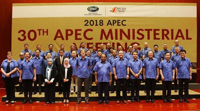 Canciller de Vietnam insta a economías de APEC a promover crecimiento sostenible ảnh 1