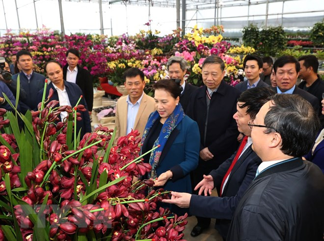 Líder parlamentaria de Vietnam visita aldea de nueva ruralidad en provincia de Hung Yen ảnh 1 Líder parlamentaria de Vietnam visita aldea de nueva ruralidad en provincia de Hung Yen ảnh 1