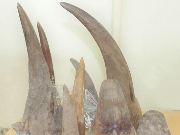 Exhortan a reforzar lucha contra contrabando de animales silvestres en Vietnam ảnh 1 Exhortan a reforzar lucha contra contrabando de animales silvestres en Vietnam ảnh 1