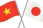 Vietnam y Japón fortalecen cooperación en defensa ảnh 1