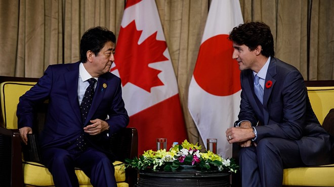 Canadá y Japón discuten medidas para promover oportunidades brindadas por CPTPP ảnh 1