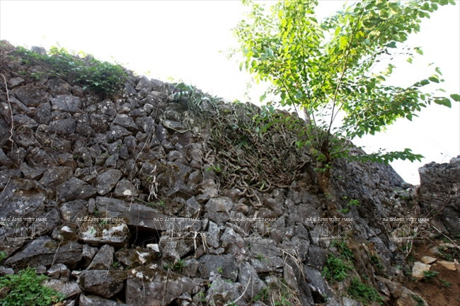 Meseta rocosa Tua Chua: belleza representativa de Dien Bien ảnh 9