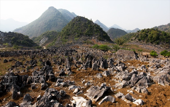 Meseta rocosa Tua Chua: belleza representativa de Dien Bien ảnh 1