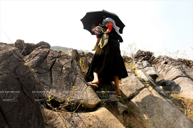 Meseta rocosa Tua Chua: belleza representativa de Dien Bien ảnh 3