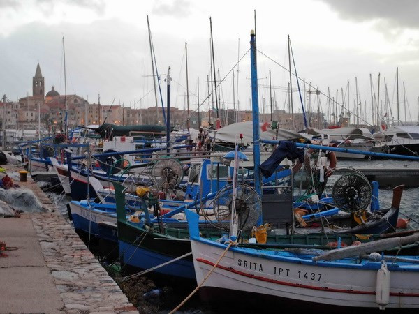  Indonesia y Noruega fomentan lazos en sector acuícola ảnh 1