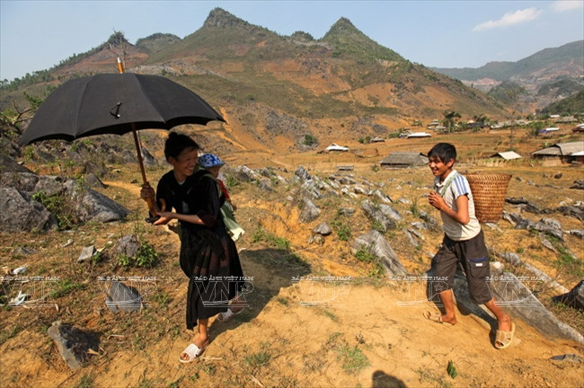 Meseta rocosa Tua Chua: belleza representativa de Dien Bien ảnh 2