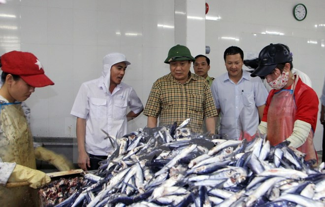 Quang Tri presta ayuda a afectados por muerte masiva de peces ảnh 1