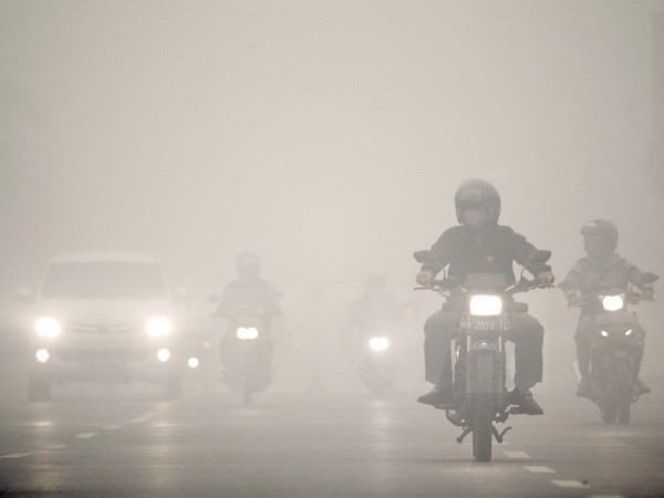 Esfuerzos contra fenómeno “Smog” en subregión de ASEAN ảnh 1