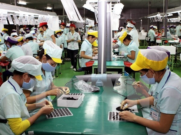 OIT: Asalariados vietnamitas son jóvenes, dinámicos y móviles ảnh 1 OIT: Asalariados vietnamitas son jóvenes, dinámicos y móviles ảnh 1
