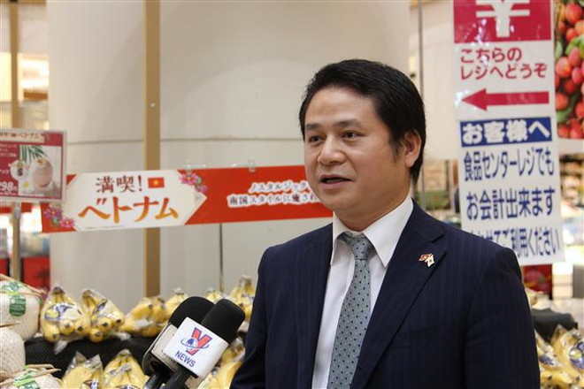 Oportunidad para las mercancías vietnamitas al mundo desde el mercado japonés ảnh 2 Oportunidad para las mercancías vietnamitas al mundo desde el mercado japonés ảnh 2