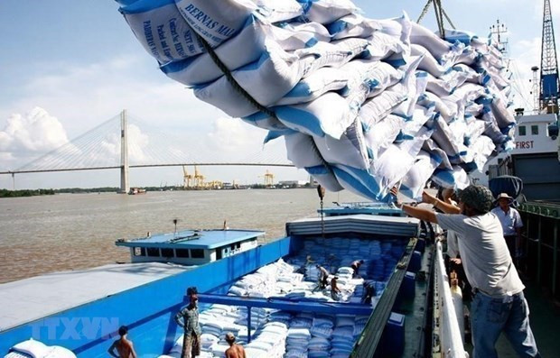 Exportaciones de arroz de Vietnam podrían alcanzar siete millones de toneladas en 2022 ảnh 1 Exportaciones de arroz de Vietnam podrían alcanzar siete millones de toneladas en 2022 ảnh 1