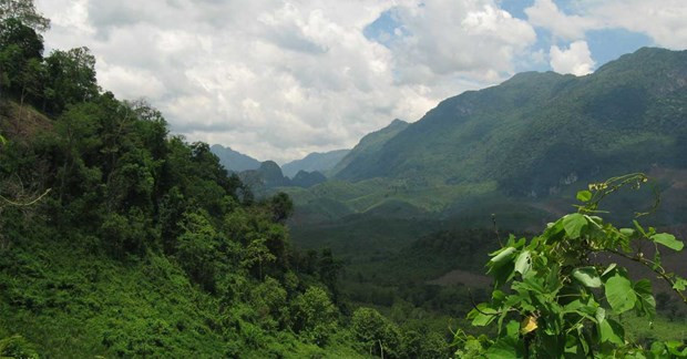 Laos apunta a aumentar la cobertura forestal al 70 por ciento para 2035 ảnh 1 Laos apunta a aumentar la cobertura forestal al 70 por ciento para 2035 ảnh 1