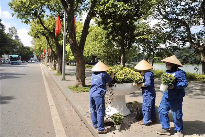 Hanoi se redecora para el Año Nuevo Lunar 2023 ảnh 1