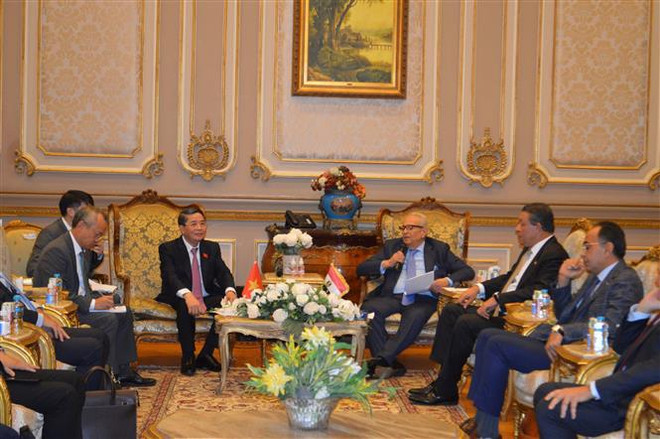 Vicepresidente parlamentario vietnamita realiza visita a Egipto ảnh 3 Vicepresidente parlamentario vietnamita realiza visita a Egipto ảnh 3