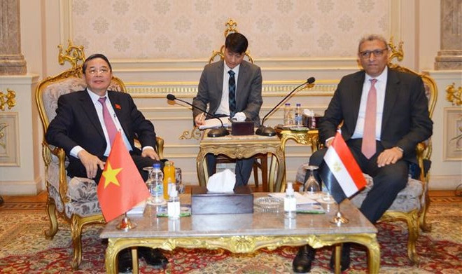 Vicepresidente parlamentario vietnamita realiza visita a Egipto ảnh 1 Vicepresidente parlamentario vietnamita realiza visita a Egipto ảnh 1