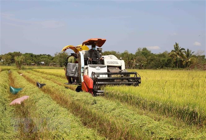 Experto de Malasia evalúa perspectivas de cooperación de su país con Vietnam ảnh 2