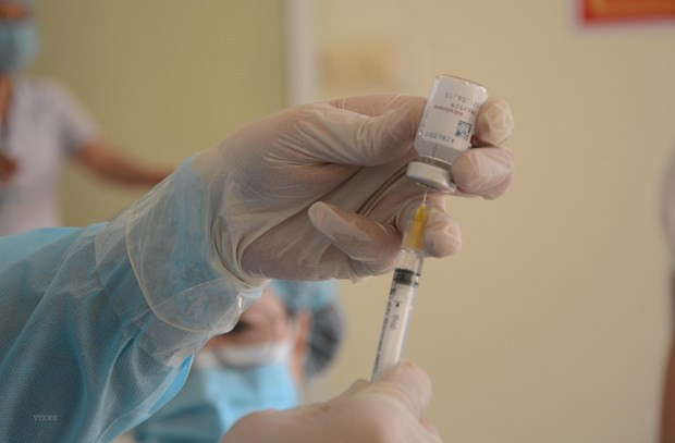 Vietnam registra 558 nuevos casos de COVID-19 ảnh 1 Vietnam registra 558 nuevos casos de COVID-19 ảnh 1