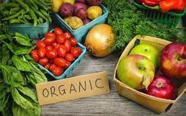 Vietnam y Dinamarca fortalecen cooperación en producción y gestión de productos orgánicos ảnh 1