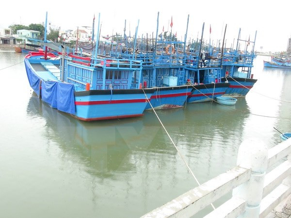 Aumentan flota pesquera de provincia centrovietnamita de Thanh Hoa ảnh 1 Aumentan flota pesquera de provincia centrovietnamita de Thanh Hoa ảnh 1