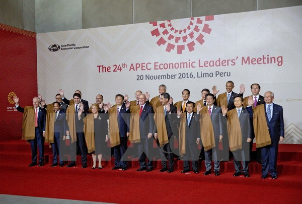 Líderes de APEC prometen a luchar contra proteccionismo ảnh 1 Líderes de APEC prometen a luchar contra proteccionismo ảnh 1