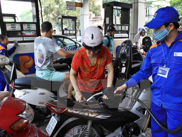 Vietnam determina aumentar uso de biogasolina ảnh 1