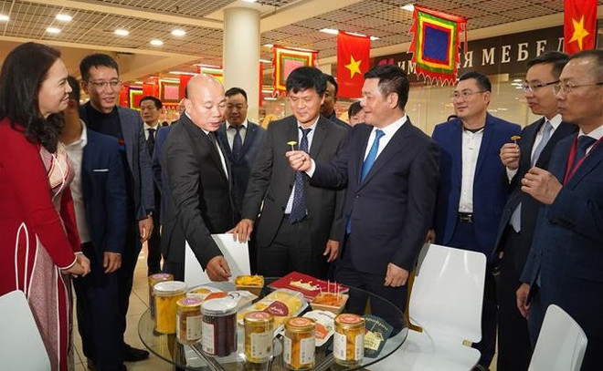 Inauguran los Días de Vietnam en Rusia ảnh 2