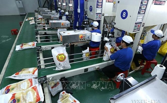 Vietnam garantiza seguridad alimentaria bajo cualquier circunstancia ảnh 1 Vietnam garantiza seguridad alimentaria bajo cualquier circunstancia ảnh 1