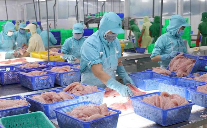 Vietnam podría ingresar unos 9,2 mil millones de USD por ventas de productos acuícolas ảnh 2 Vietnam podría ingresar unos 9,2 mil millones de USD por ventas de productos acuícolas ảnh 2