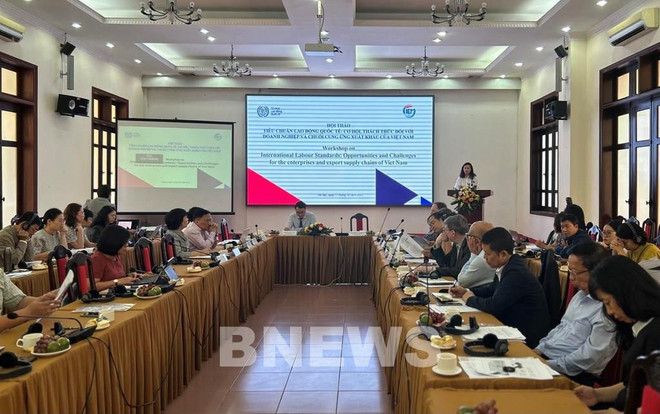 Impulsan conexión empresarial para crear cadenas productivas en Vietnam ảnh 2 Impulsan conexión empresarial para crear cadenas productivas en Vietnam ảnh 2