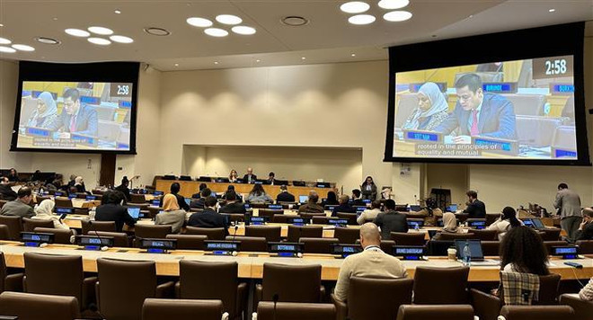 Vietnam respalda promoción de cooperación internacional en derechos humanos ảnh 2 Vietnam respalda promoción de cooperación internacional en derechos humanos ảnh 2