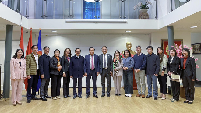 Provincia vietnamita introduce productos agrícolas en los Países Bajos ảnh 2 Provincia vietnamita introduce productos agrícolas en los Países Bajos ảnh 2