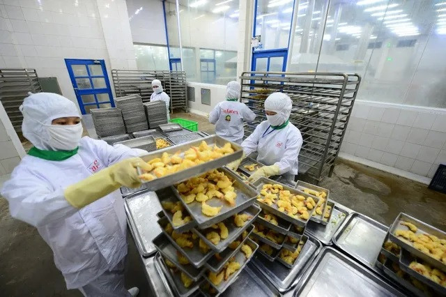 Vietnam podría ingresar unos 9,2 mil millones de USD por ventas de productos acuícolas ảnh 1 Vietnam podría ingresar unos 9,2 mil millones de USD por ventas de productos acuícolas ảnh 1