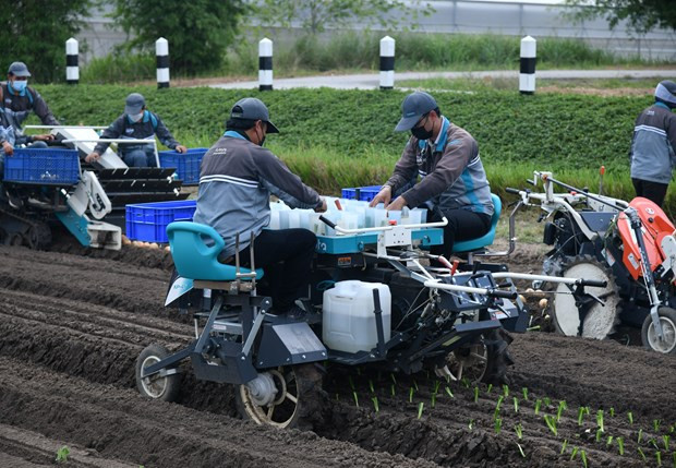 Tailandia se esfuerza por innovar en agricultura ảnh 1 Tailandia se esfuerza por innovar en agricultura ảnh 1