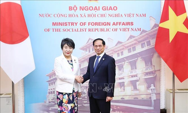 Abogan por agilizar implementación de AOD japonesa en Vietnam ảnh 1 Abogan por agilizar implementación de AOD japonesa en Vietnam ảnh 1