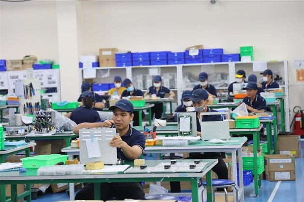 Empresas niponas buscan oportunidad de inversión en delta del Mekong en Vietnam ảnh 1 Empresas niponas buscan oportunidad de inversión en delta del Mekong en Vietnam ảnh 1